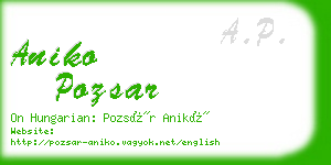 aniko pozsar business card